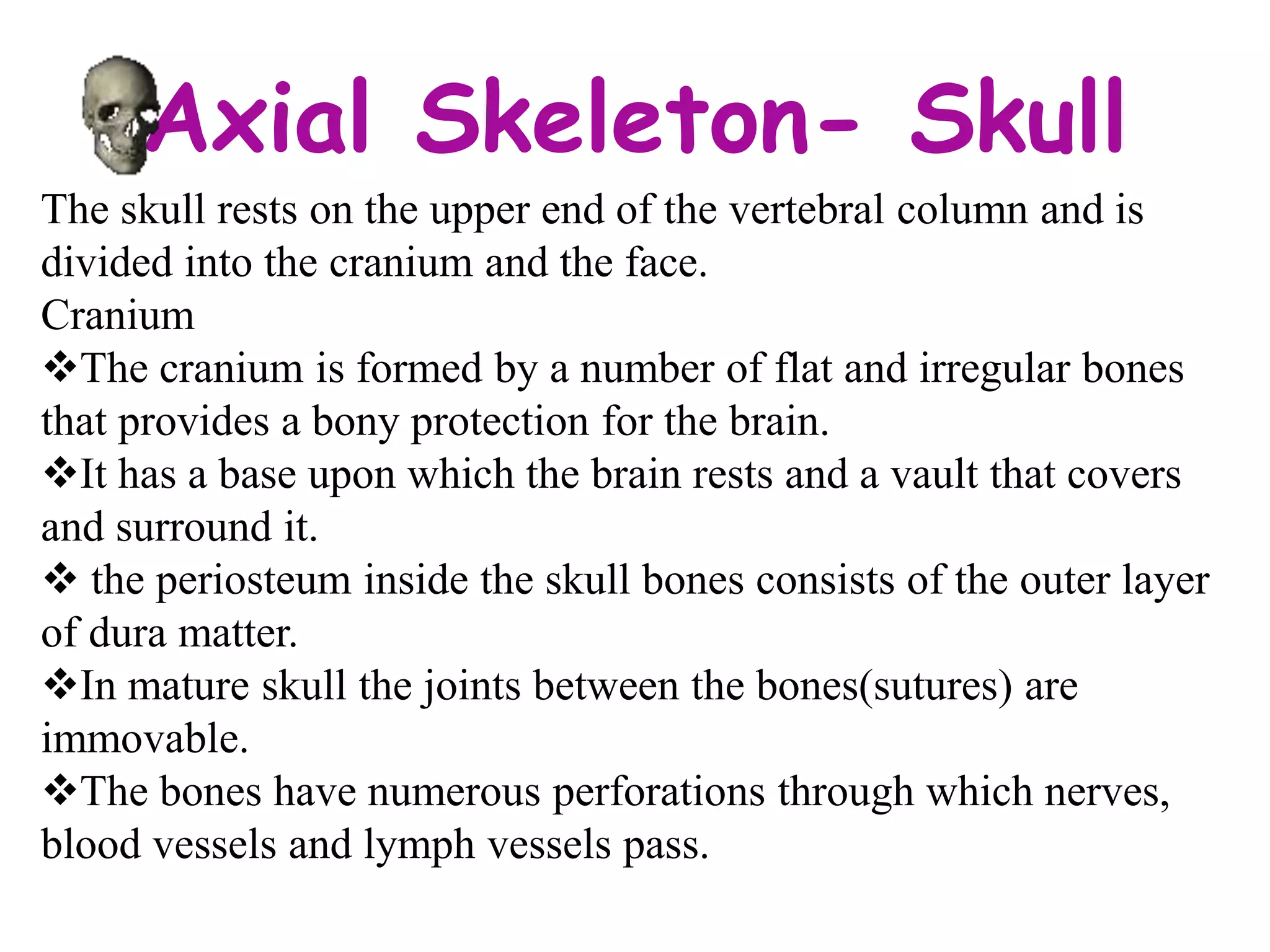 Axial Skeleton- Skull
The skull rests on the upper end of the vertebral column and is
divided into the cranium and the face.
Cranium
The cranium is formed by a number of flat and irregular bones
that provides a bony protection for the brain.
It has a base upon which the brain rests and a vault that covers
and surround it.
 the periosteum inside the skull bones consists of the outer layer
of dura matter.
In mature skull the joints between the bones(sutures) are
immovable.
The bones have numerous perforations through which nerves,
blood vessels and lymph vessels pass.
 