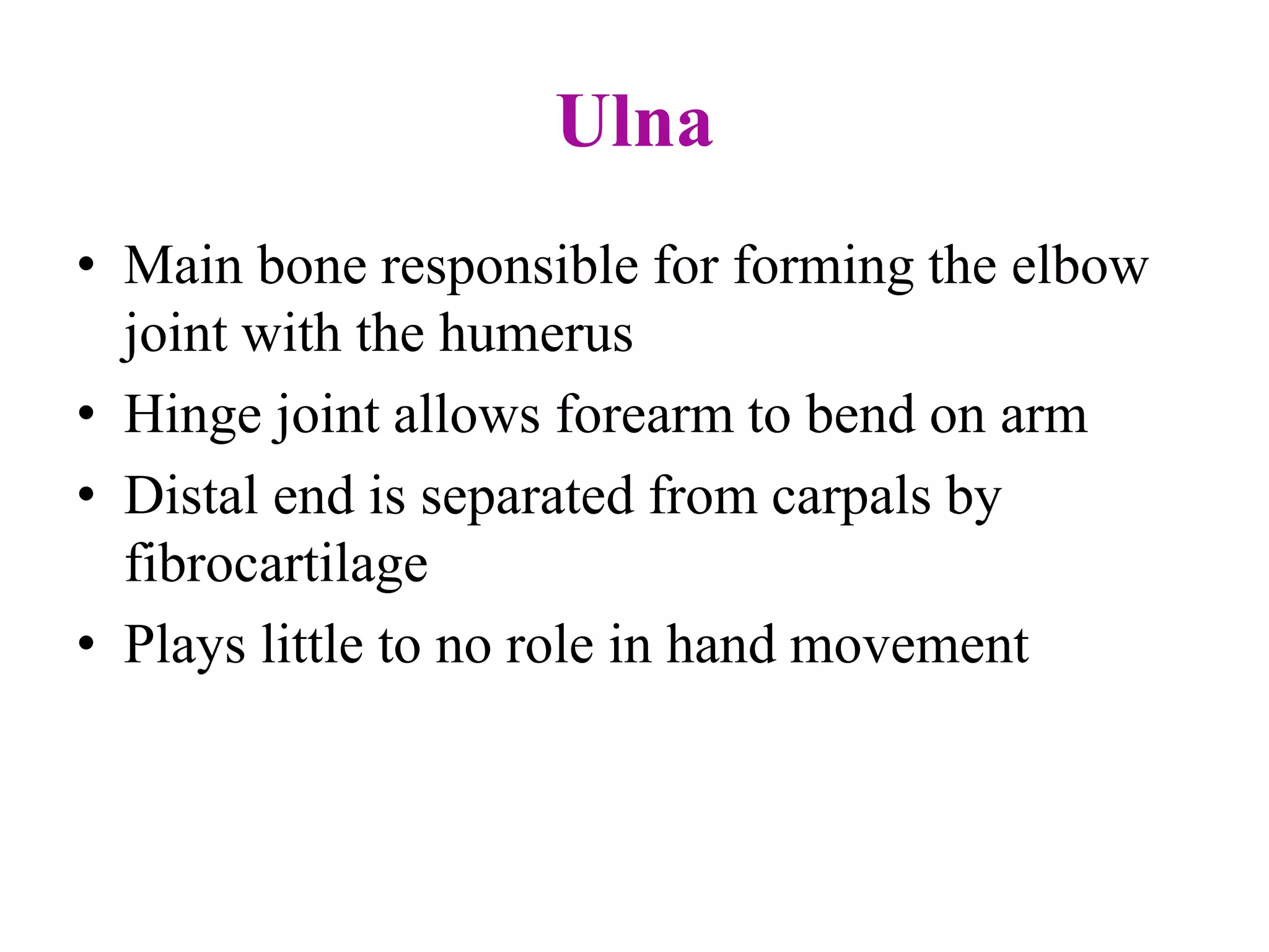 Ulna
• Main bone responsible for forming the elbow
joint with the humerus
• Hinge joint allows forearm to bend on arm
• Distal end is separated from carpals by
fibrocartilage
• Plays little to no role in hand movement
 