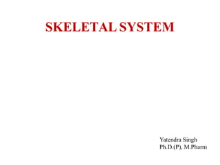 SKELETAL SYSTEM
Yatendra Singh
Ph.D.(P), M.Pharm
 