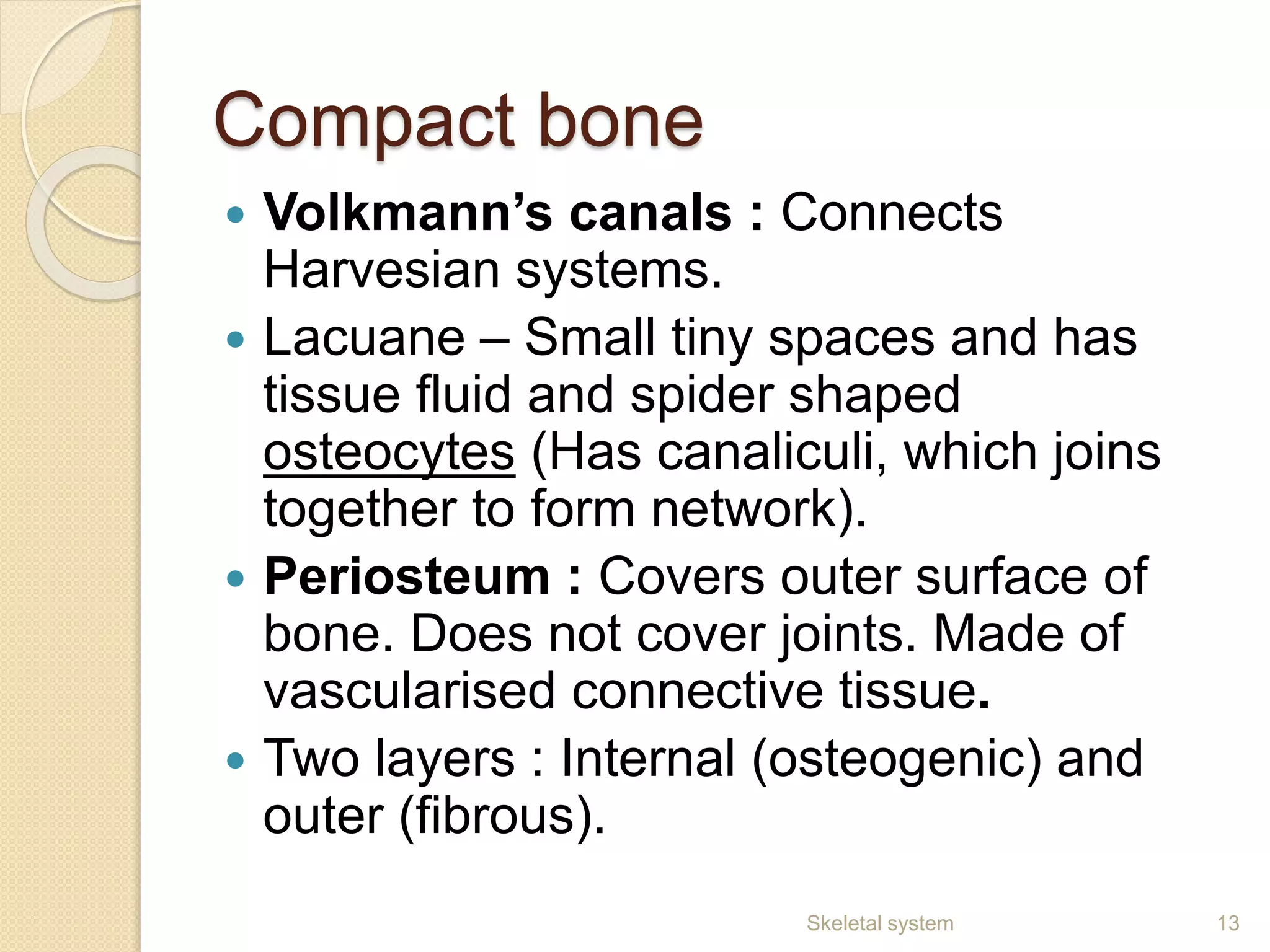 Compact bone
 Volkmann’s canals : Connects
Harvesian systems.
 Lacuane – Small tiny spaces and has
tissue fluid and spider shaped
osteocytes (Has canaliculi, which joins
together to form network).
 Periosteum : Covers outer surface of
bone. Does not cover joints. Made of
vascularised connective tissue.
 Two layers : Internal (osteogenic) and
outer (fibrous).
13Skeletal system
 