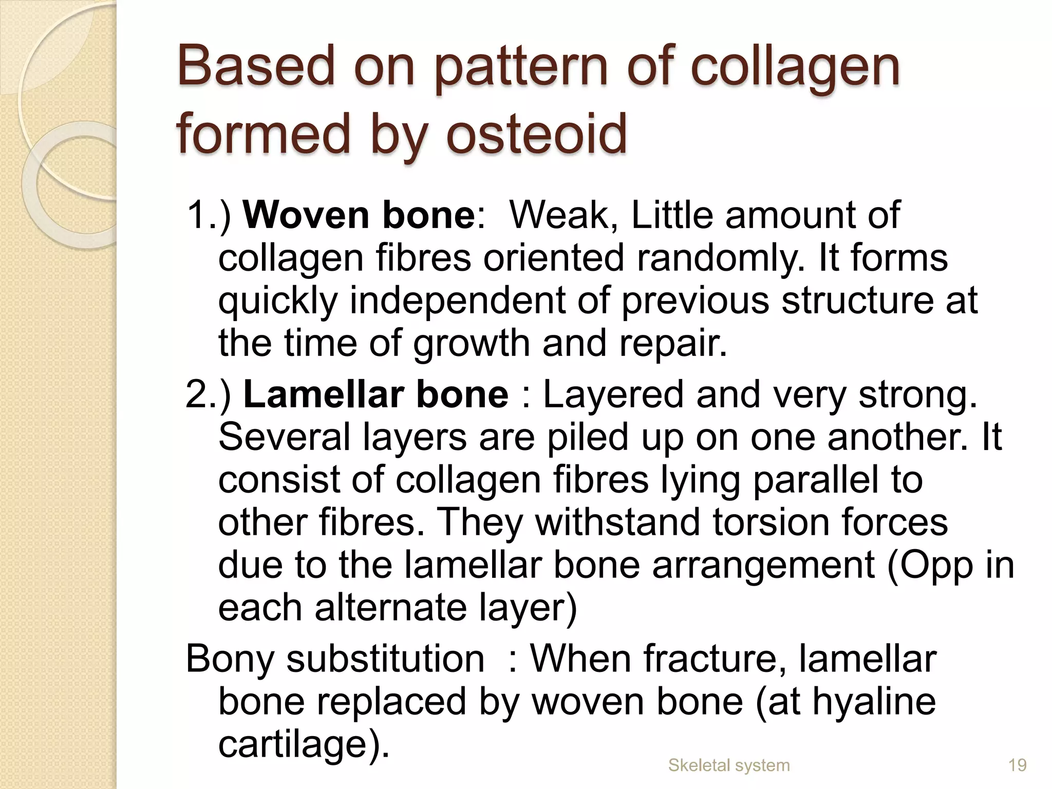 Based on pattern of collagen
formed by osteoid
1.) Woven bone: Weak, Little amount of
collagen fibres oriented randomly. It forms
quickly independent of previous structure at
the time of growth and repair.
2.) Lamellar bone : Layered and very strong.
Several layers are piled up on one another. It
consist of collagen fibres lying parallel to
other fibres. They withstand torsion forces
due to the lamellar bone arrangement (Opp in
each alternate layer)
Bony substitution : When fracture, lamellar
bone replaced by woven bone (at hyaline
cartilage). 19Skeletal system
 