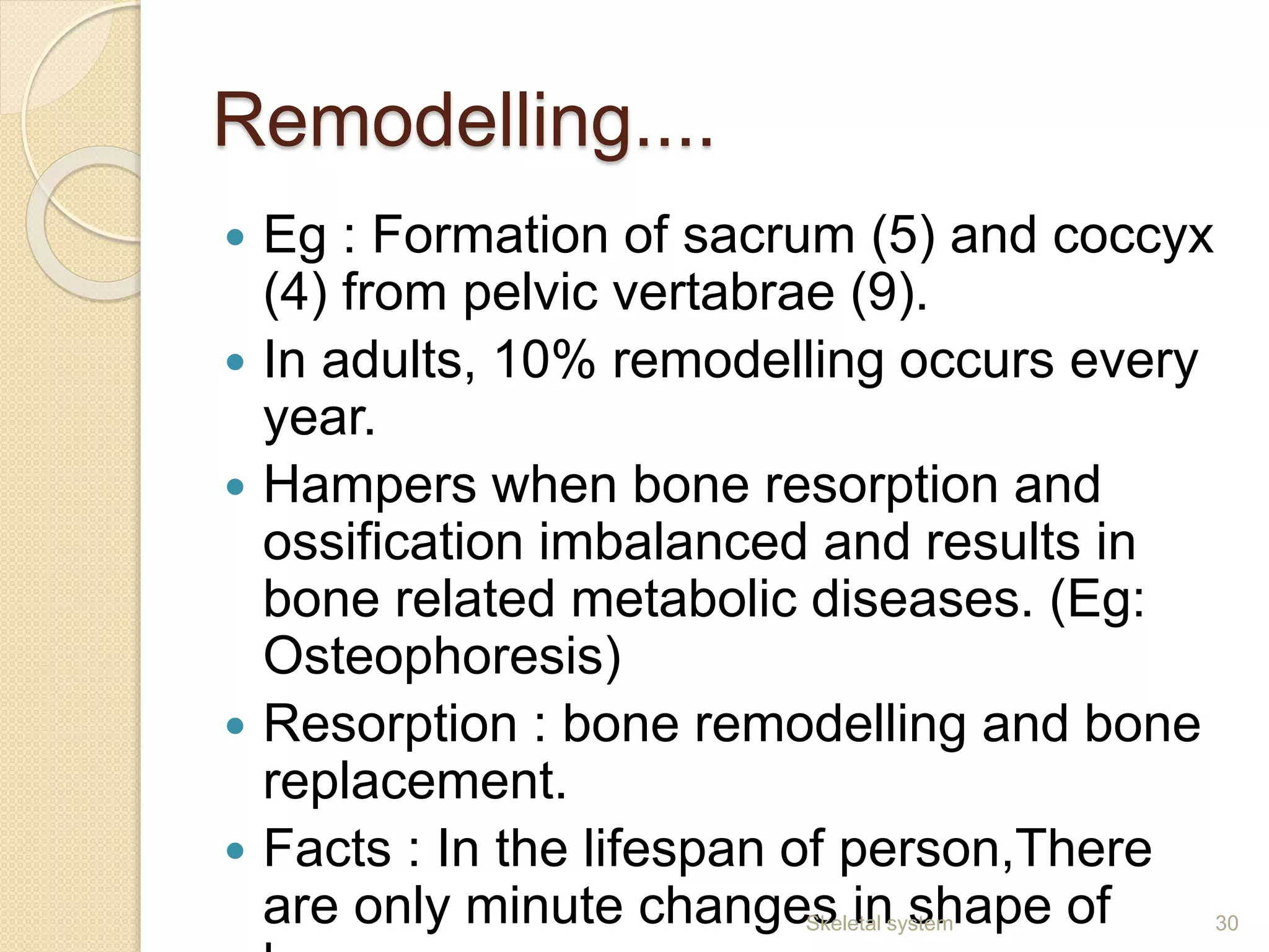 Remodelling....
 Eg : Formation of sacrum (5) and coccyx
(4) from pelvic vertabrae (9).
 In adults, 10% remodelling occurs every
year.
 Hampers when bone resorption and
ossification imbalanced and results in
bone related metabolic diseases. (Eg:
Osteophoresis)
 Resorption : bone remodelling and bone
replacement.
 Facts : In the lifespan of person,There
are only minute changes in shape of 30Skeletal system
 