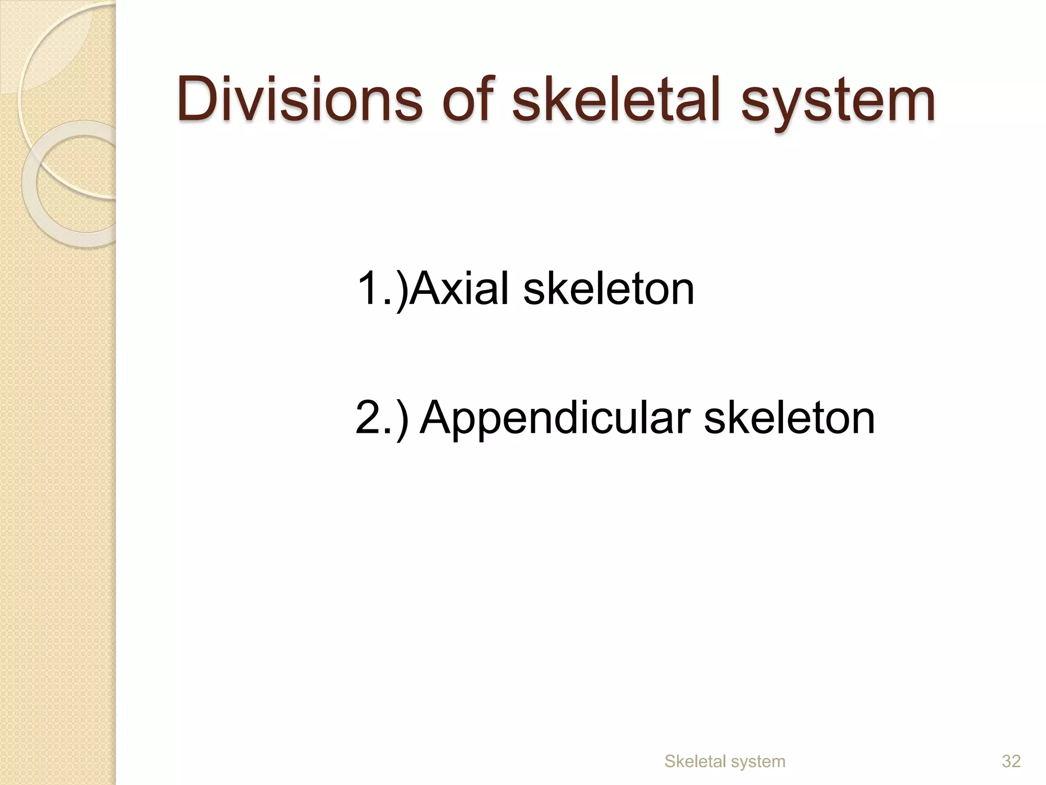 Divisions of skeletal system
1.)Axial skeleton
2.) Appendicular skeleton
32Skeletal system
 