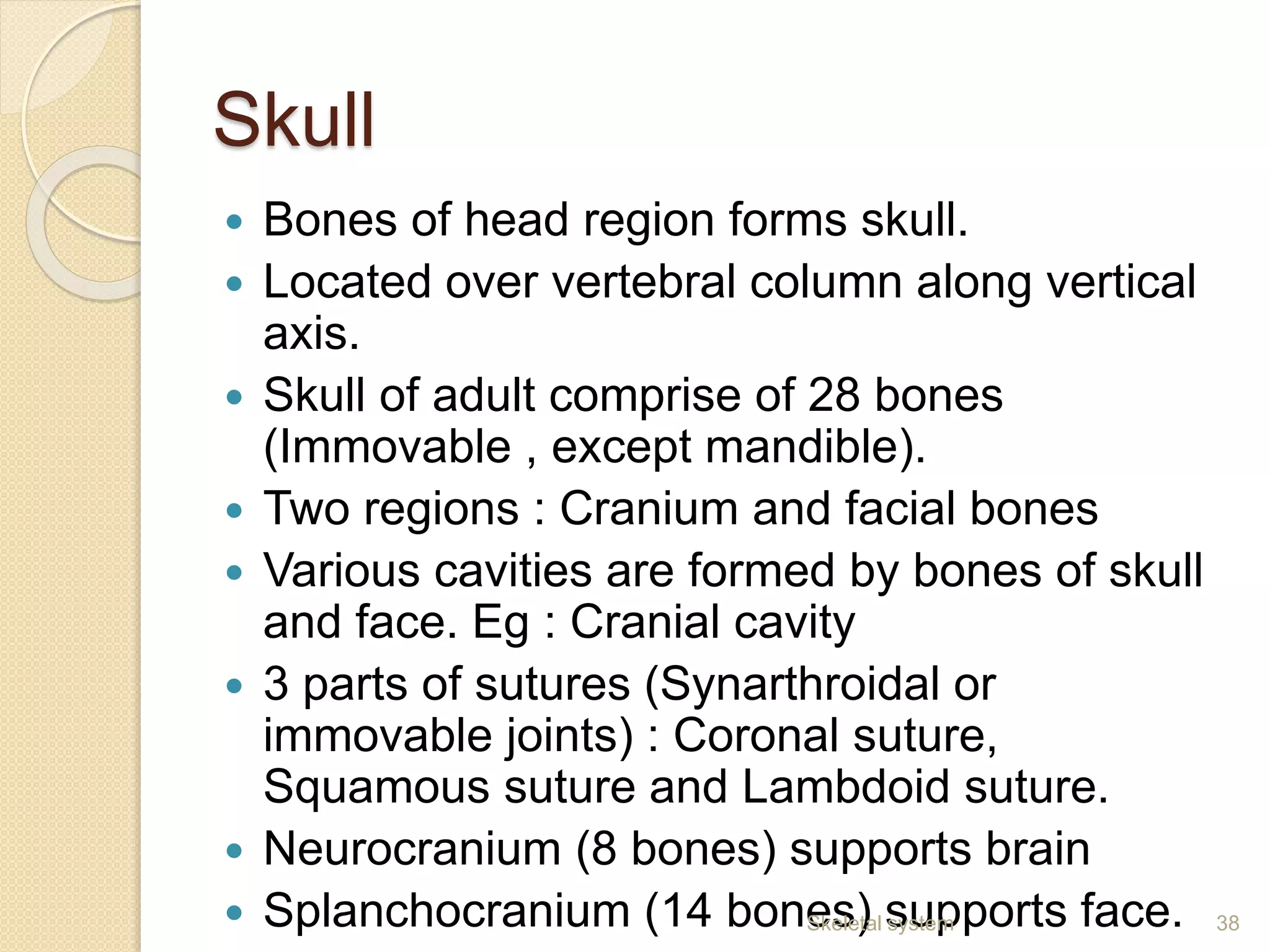 Skull
 Bones of head region forms skull.
 Located over vertebral column along vertical
axis.
 Skull of adult comprise of 28 bones
(Immovable , except mandible).
 Two regions : Cranium and facial bones
 Various cavities are formed by bones of skull
and face. Eg : Cranial cavity
 3 parts of sutures (Synarthroidal or
immovable joints) : Coronal suture,
Squamous suture and Lambdoid suture.
 Neurocranium (8 bones) supports brain
 Splanchocranium (14 bones) supports face. 38Skeletal system
 