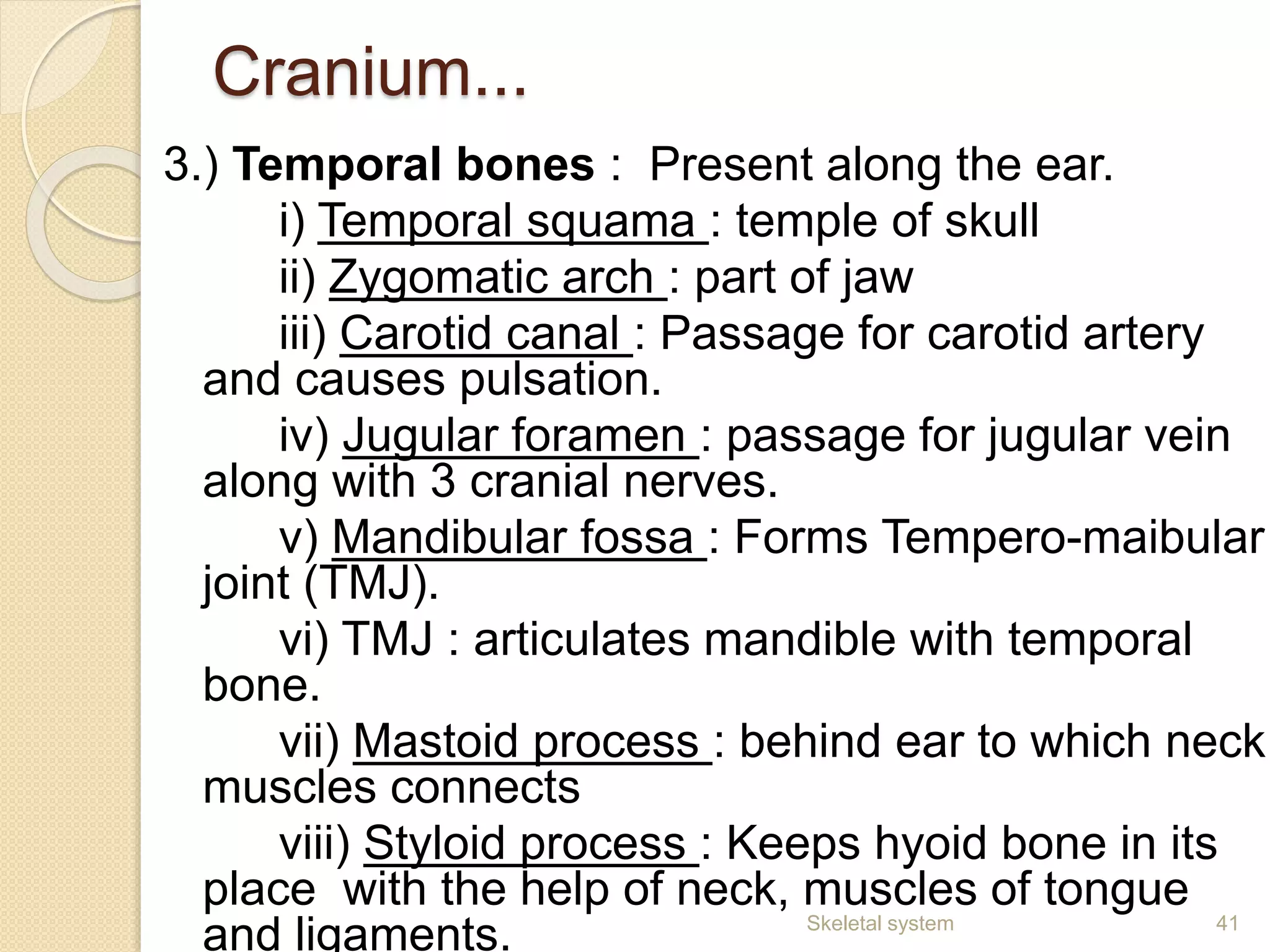 Cranium...
3.) Temporal bones : Present along the ear.
i) Temporal squama : temple of skull
ii) Zygomatic arch : part of jaw
iii) Carotid canal : Passage for carotid artery
and causes pulsation.
iv) Jugular foramen : passage for jugular vein
along with 3 cranial nerves.
v) Mandibular fossa : Forms Tempero-maibular
joint (TMJ).
vi) TMJ : articulates mandible with temporal
bone.
vii) Mastoid process : behind ear to which neck
muscles connects
viii) Styloid process : Keeps hyoid bone in its
place with the help of neck, muscles of tongue
and ligaments. 41Skeletal system
 