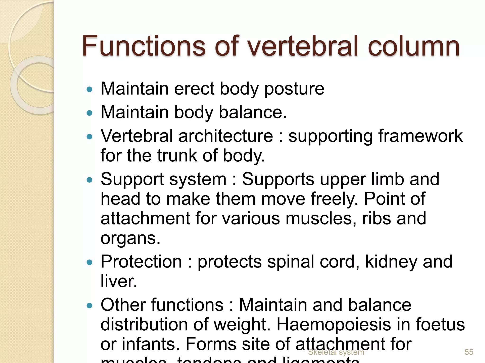 Functions of vertebral column
 Maintain erect body posture
 Maintain body balance.
 Vertebral architecture : supporting framework
for the trunk of body.
 Support system : Supports upper limb and
head to make them move freely. Point of
attachment for various muscles, ribs and
organs.
 Protection : protects spinal cord, kidney and
liver.
 Other functions : Maintain and balance
distribution of weight. Haemopoiesis in foetus
or infants. Forms site of attachment for 55Skeletal system
 