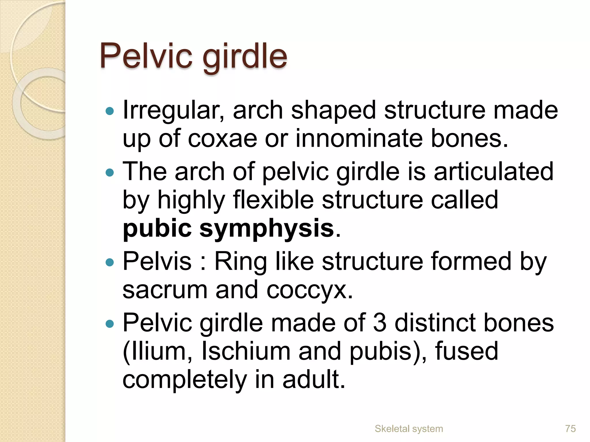 Pelvic girdle
 Irregular, arch shaped structure made
up of coxae or innominate bones.
 The arch of pelvic girdle is articulated
by highly flexible structure called
pubic symphysis.
 Pelvis : Ring like structure formed by
sacrum and coccyx.
 Pelvic girdle made of 3 distinct bones
(Ilium, Ischium and pubis), fused
completely in adult.
Skeletal system 75
 