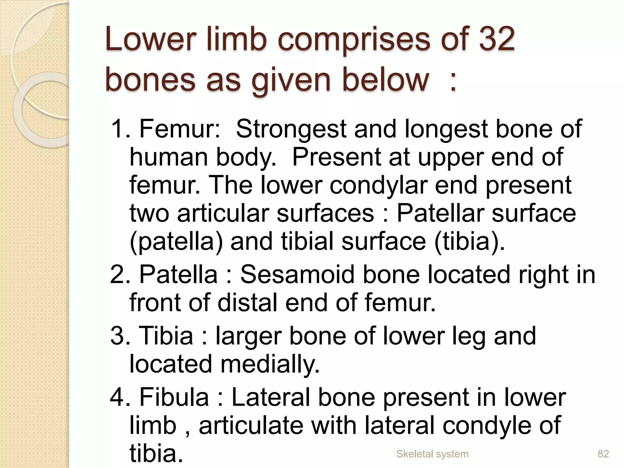 Lower limb comprises of 32
bones as given below :
1. Femur: Strongest and longest bone of
human body. Present at upper end of
femur. The lower condylar end present
two articular surfaces : Patellar surface
(patella) and tibial surface (tibia).
2. Patella : Sesamoid bone located right in
front of distal end of femur.
3. Tibia : larger bone of lower leg and
located medially.
4. Fibula : Lateral bone present in lower
limb , articulate with lateral condyle of
tibia. Skeletal system 82
 