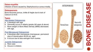 Skeletal system | PPT