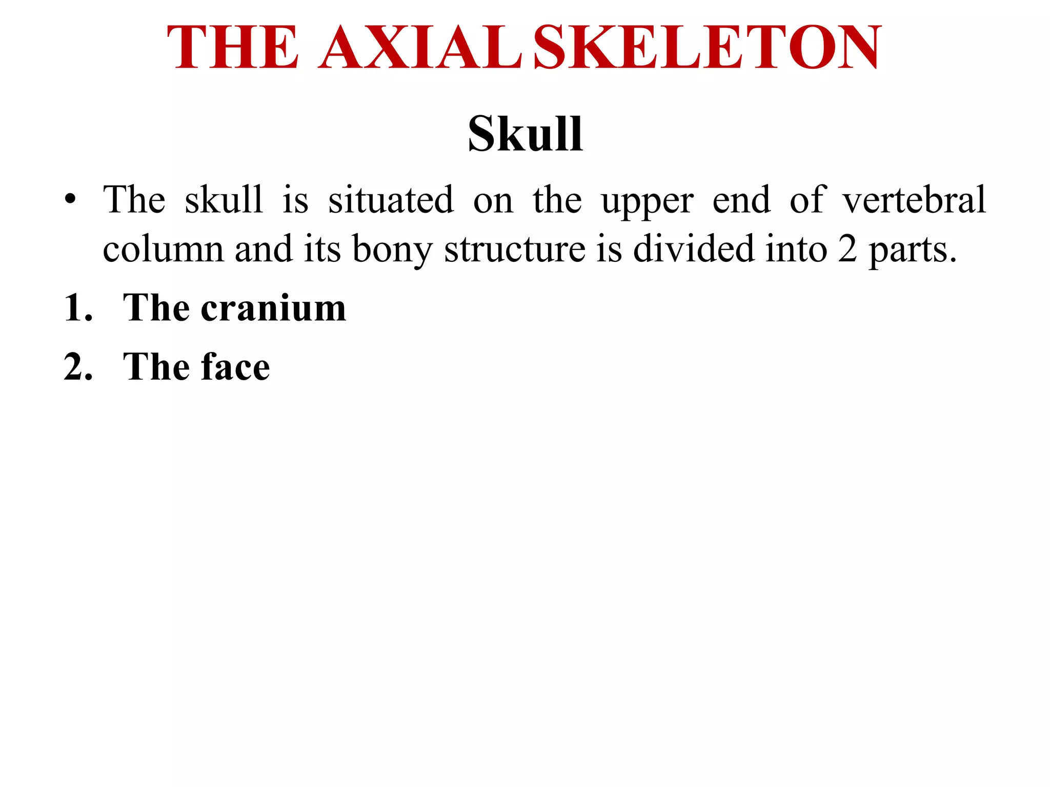 THE AXIALSKELETON
Skull
• The skull is situated on the upper end of vertebral
column and its bony structure is divided into 2 parts.
1. The cranium
2. The face
 