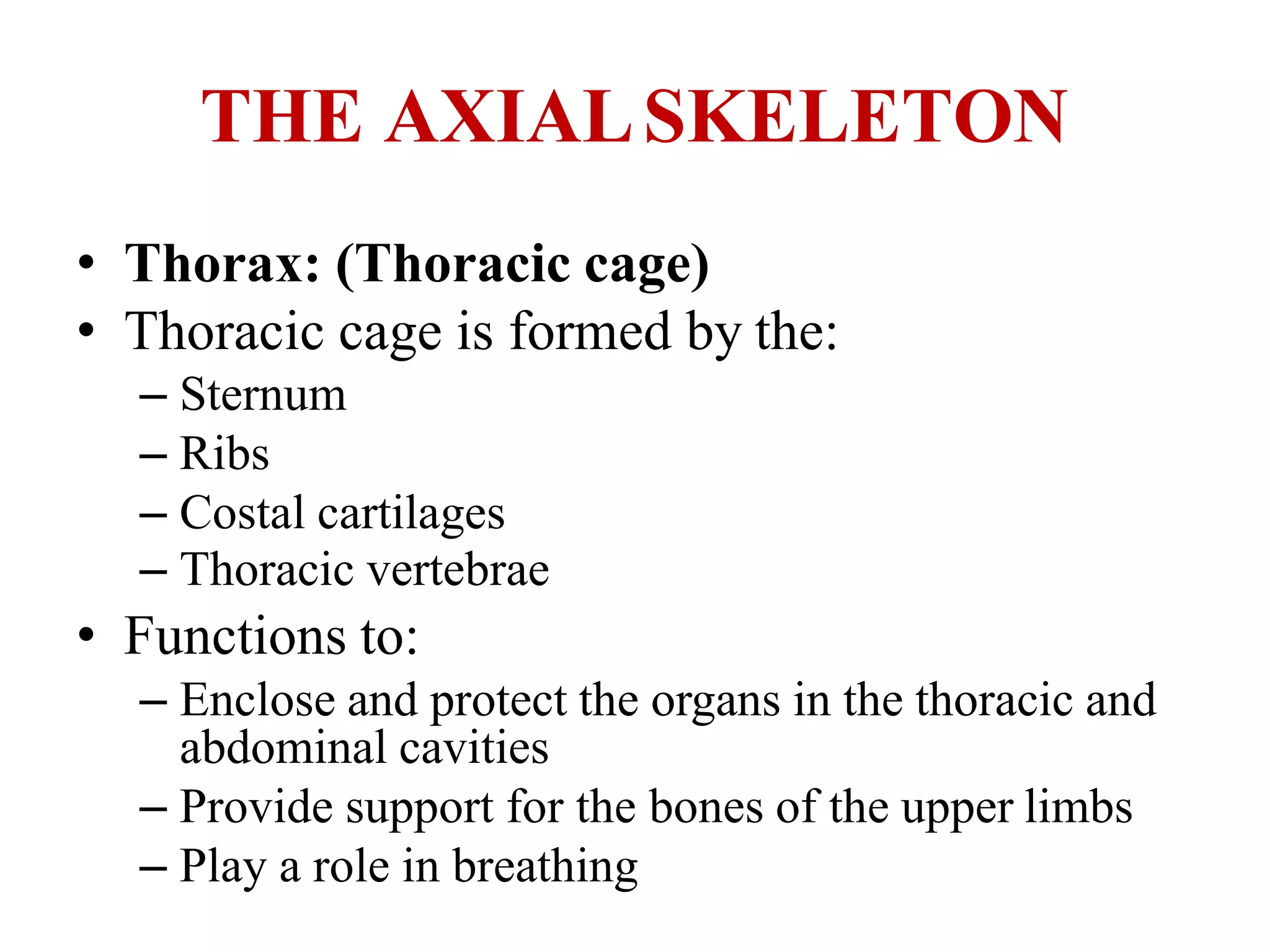 THE AXIALSKELETON
• Thorax: (Thoracic cage)
• Thoracic cage is formed by the:
– Sternum
– Ribs
– Costal cartilages
– Thoracic vertebrae
• Functions to:
– Enclose and protect the organs in the thoracic and
abdominal cavities
– Provide support for the bones of the upper limbs
– Play a role in breathing
 