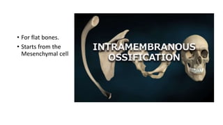 • For flat bones.
• Starts from the
Mesenchymal cell
 