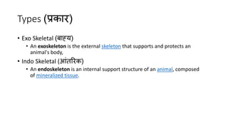 Types (प्रकार)
• Exo Skeletal (बाह्य)
• An exoskeleton is the external skeleton that supports and protects an
animal's body,
• Indo Skeletal (आंतररक)
• An endoskeleton is an internal support structure of an animal, composed
of mineralized tissue.
 