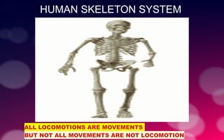 HUMAN SKELETON SYSTEM
ALL LOCOMOTIONS ARE MOVEMENTS
BUT NOT ALL MOVEMENTS ARE NOT LOCOMOTION
 