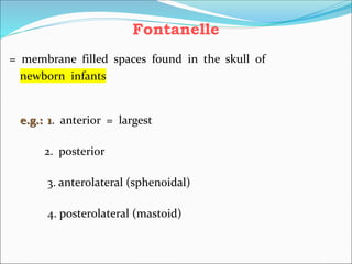Fontanelle
= membrane filled spaces found in the skull of
newborn infants
e.g.: 1. anterior = largest
2. posterior
3. anterolateral (sphenoidal)
4. posterolateral (mastoid)
 