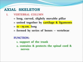AXIAL SKELETON
I. VERTEBRAL COLUMN
= long, curved, slightly movable pillar
= united together by cartilage & ligaments
= 71 – 75 cm. long
= formed by series of bones -- vertebrae
FUNCTION:
1. support of the trunk
2. contains & protects the spinal cord &
nerves
 