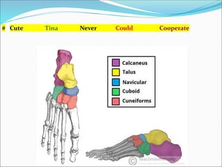 # Cute Tina Never Could Cooperate
 