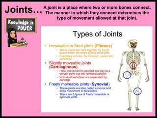 Joints…A joint is a place where two or more bones connect.
The manner in which they connect determines the
type of movement allowed at that joint.
 