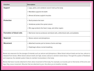 Skeletal system.pptx