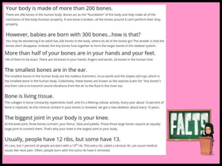 Skeletal system.pptx