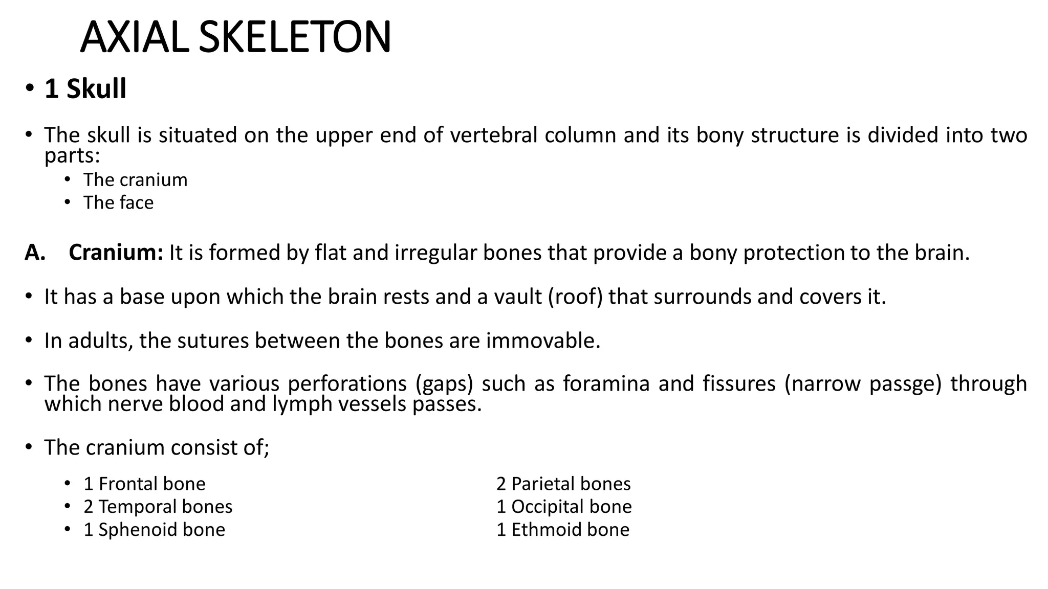 AXIAL SKELETON
• 1 Skull
• The skull is situated on the upper end of vertebral column and its bony structure is divided into two
parts:
• The cranium
• The face
A. Cranium: It is formed by flat and irregular bones that provide a bony protection to the brain.
• It has a base upon which the brain rests and a vault (roof) that surrounds and covers it.
• In adults, the sutures between the bones are immovable.
• The bones have various perforations (gaps) such as foramina and fissures (narrow passge) through
which nerve blood and lymph vessels passes.
• The cranium consist of;
• 1 Frontal bone 2 Parietal bones
• 2 Temporal bones 1 Occipital bone
• 1 Sphenoid bone 1 Ethmoid bone
 