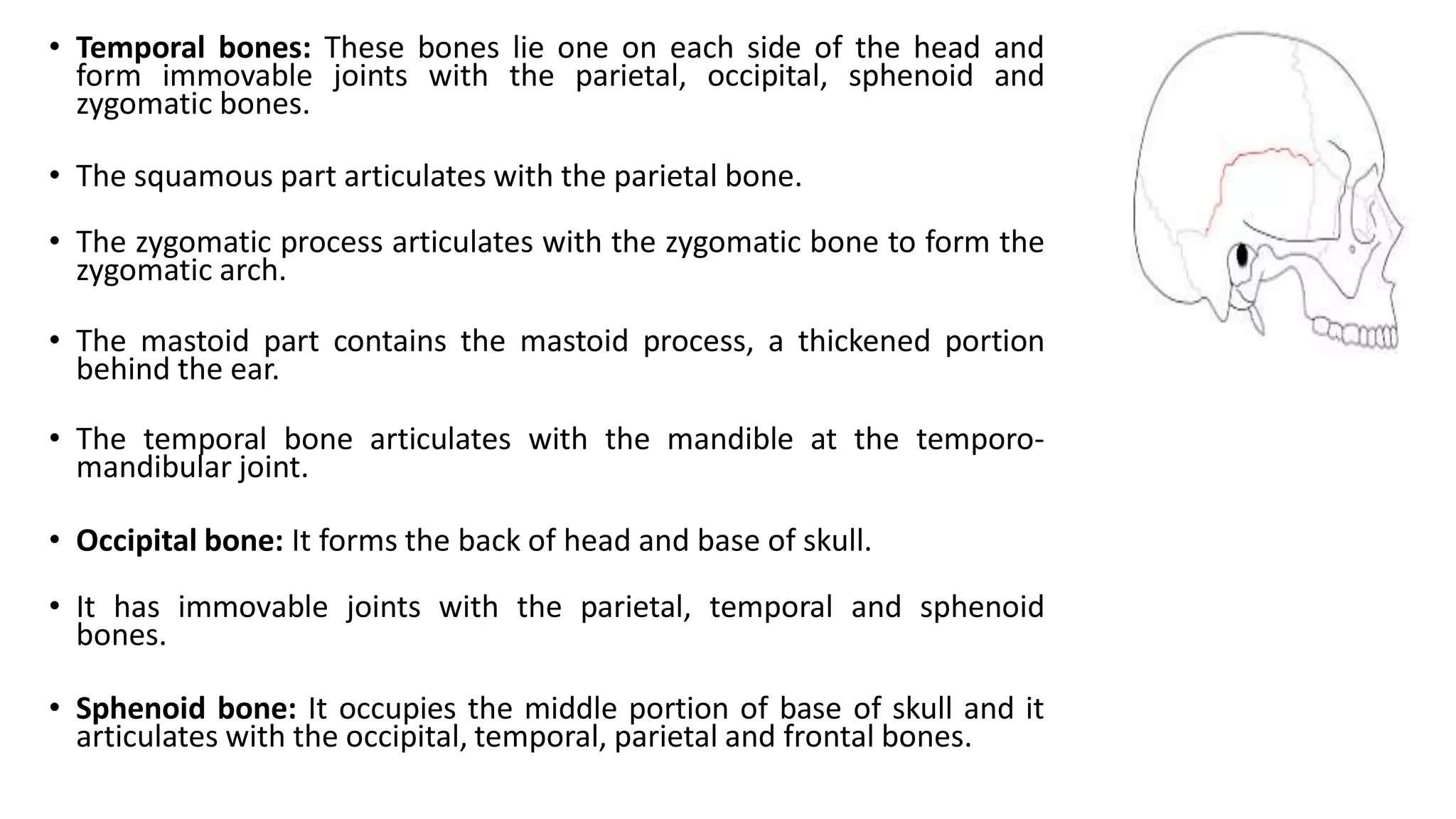 • Temporal bones: These bones lie one on each side of the head and
form immovable joints with the parietal, occipital, sphenoid and
zygomatic bones.
• The squamous part articulates with the parietal bone.
• The zygomatic process articulates with the zygomatic bone to form the
zygomatic arch.
• The mastoid part contains the mastoid process, a thickened portion
behind the ear.
• The temporal bone articulates with the mandible at the temporo-
mandibular joint.
• Occipital bone: It forms the back of head and base of skull.
• It has immovable joints with the parietal, temporal and sphenoid
bones.
• Sphenoid bone: It occupies the middle portion of base of skull and it
articulates with the occipital, temporal, parietal and frontal bones.
 