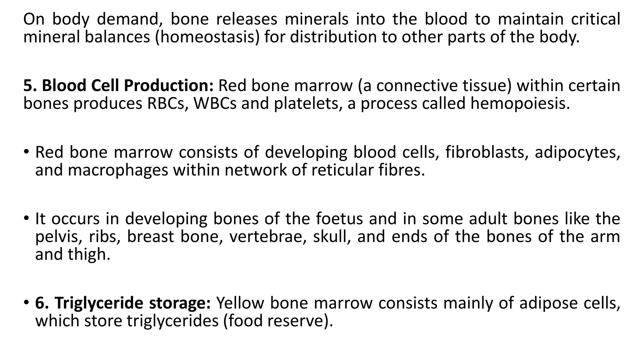 On body demand, bone releases minerals into the blood to maintain critical
mineral balances (homeostasis) for distribution to other parts of the body.
5. Blood Cell Production: Red bone marrow (a connective tissue) within certain
bones produces RBCs, WBCs and platelets, a process called hemopoiesis.
• Red bone marrow consists of developing blood cells, fibroblasts, adipocytes,
and macrophages within network of reticular fibres.
• It occurs in developing bones of the foetus and in some adult bones like the
pelvis, ribs, breast bone, vertebrae, skull, and ends of the bones of the arm
and thigh.
• 6. Triglyceride storage: Yellow bone marrow consists mainly of adipose cells,
which store triglycerides (food reserve).
 