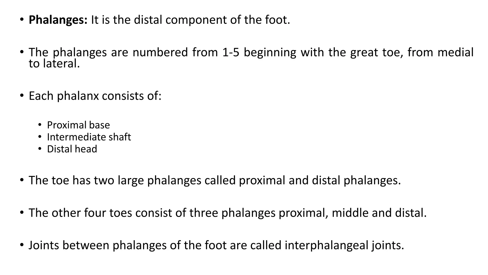 • Phalanges: It is the distal component of the foot.
• The phalanges are numbered from 1-5 beginning with the great toe, from medial
to lateral.
• Each phalanx consists of:
• Proximal base
• Intermediate shaft
• Distal head
• The toe has two large phalanges called proximal and distal phalanges.
• The other four toes consist of three phalanges proximal, middle and distal.
• Joints between phalanges of the foot are called interphalangeal joints.
 
