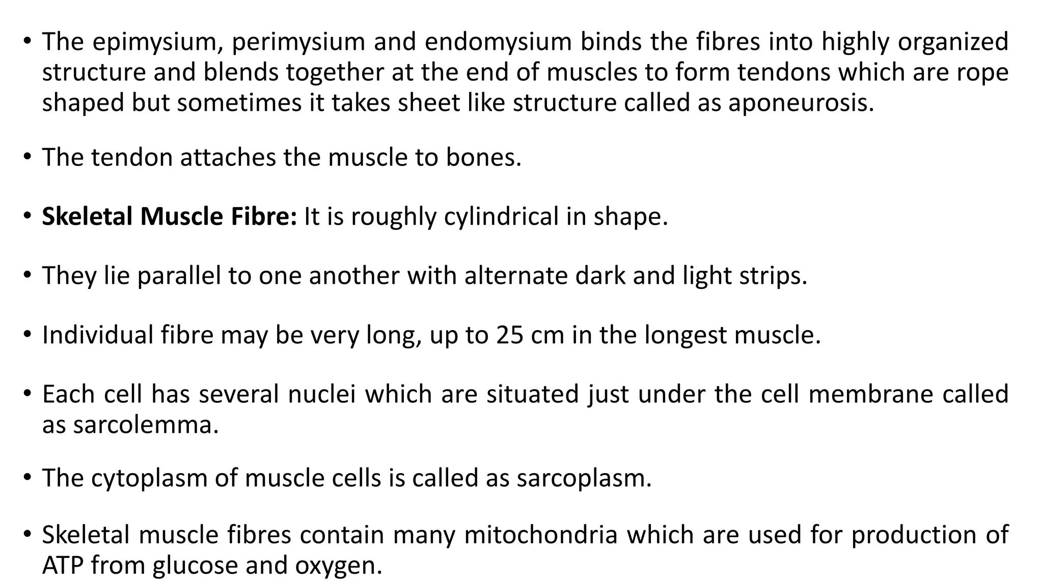 • The epimysium, perimysium and endomysium binds the fibres into highly organized
structure and blends together at the end of muscles to form tendons which are rope
shaped but sometimes it takes sheet like structure called as aponeurosis.
• The tendon attaches the muscle to bones.
• Skeletal Muscle Fibre: It is roughly cylindrical in shape.
• They lie parallel to one another with alternate dark and light strips.
• Individual fibre may be very long, up to 25 cm in the longest muscle.
• Each cell has several nuclei which are situated just under the cell membrane called
as sarcolemma.
• The cytoplasm of muscle cells is called as sarcoplasm.
• Skeletal muscle fibres contain many mitochondria which are used for production of
ATP from glucose and oxygen.
 