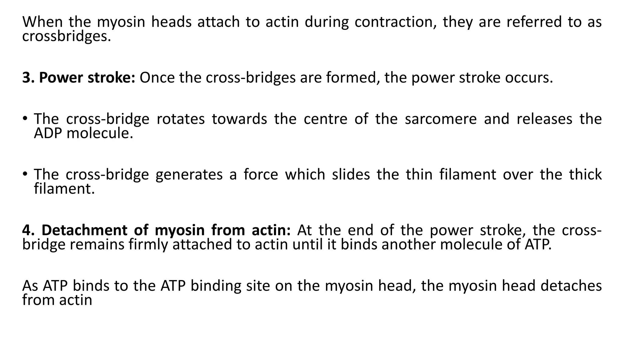 When the myosin heads attach to actin during contraction, they are referred to as
crossbridges.
3. Power stroke: Once the cross-bridges are formed, the power stroke occurs.
• The cross-bridge rotates towards the centre of the sarcomere and releases the
ADP molecule.
• The cross-bridge generates a force which slides the thin filament over the thick
filament.
4. Detachment of myosin from actin: At the end of the power stroke, the cross-
bridge remains firmly attached to actin until it binds another molecule of ATP.
As ATP binds to the ATP binding site on the myosin head, the myosin head detaches
from actin
 