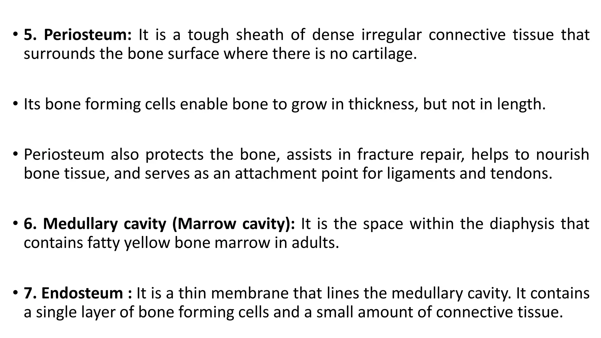 • 5. Periosteum: It is a tough sheath of dense irregular connective tissue that
surrounds the bone surface where there is no cartilage.
• Its bone forming cells enable bone to grow in thickness, but not in length.
• Periosteum also protects the bone, assists in fracture repair, helps to nourish
bone tissue, and serves as an attachment point for ligaments and tendons.
• 6. Medullary cavity (Marrow cavity): It is the space within the diaphysis that
contains fatty yellow bone marrow in adults.
• 7. Endosteum : It is a thin membrane that lines the medullary cavity. It contains
a single layer of bone forming cells and a small amount of connective tissue.
 