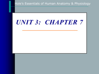 Hole’s Essentials of Human Anatomy & Physiology
UNIT 3: CHAPTER 7
SKELETAL
SYSTEM
PART I
 