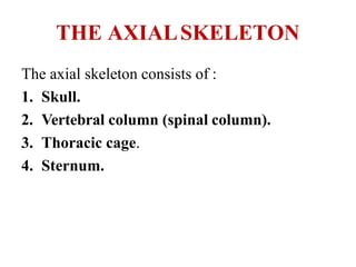 Skeletal system.pptx