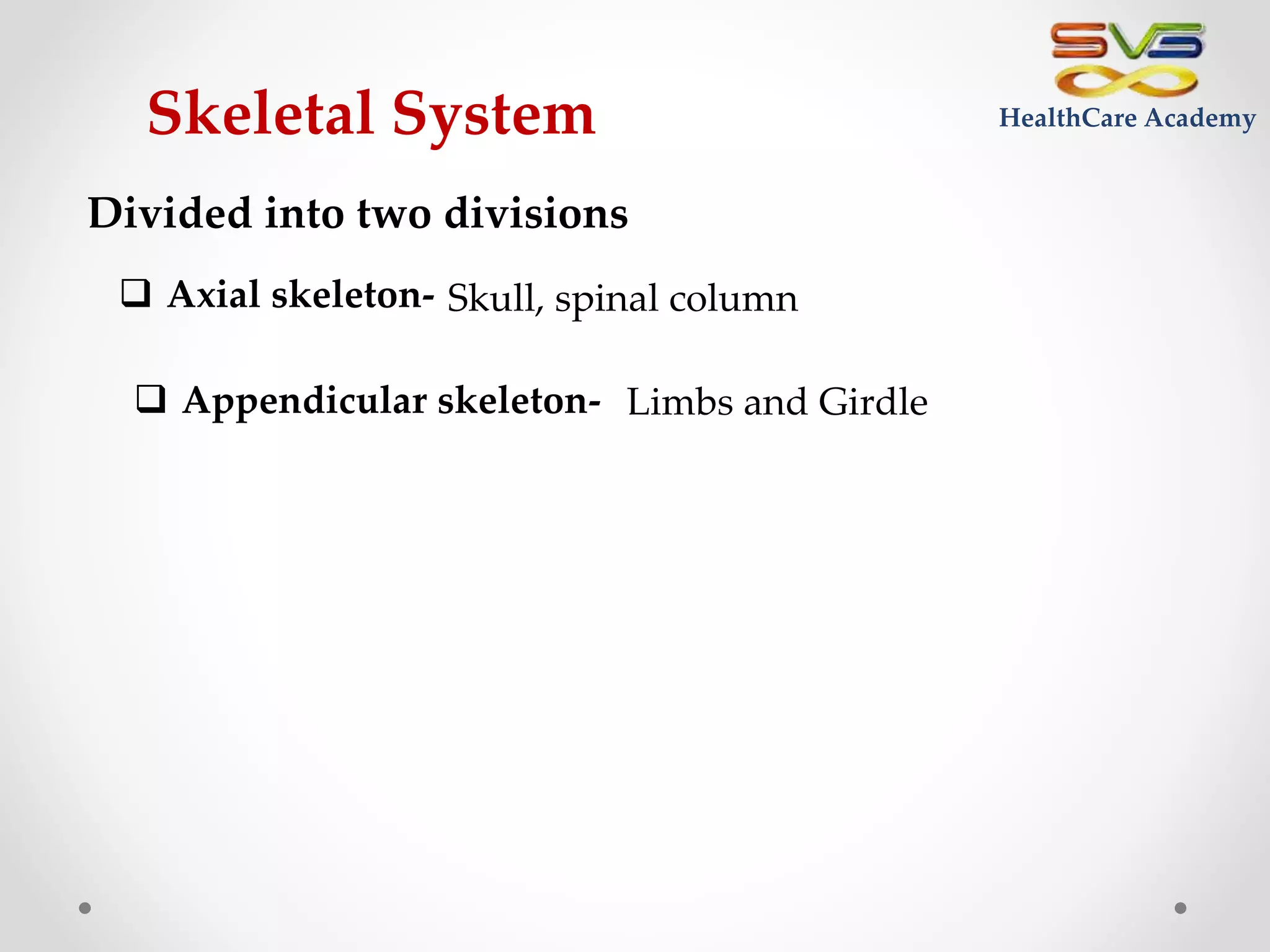 Skeletal System.pptx