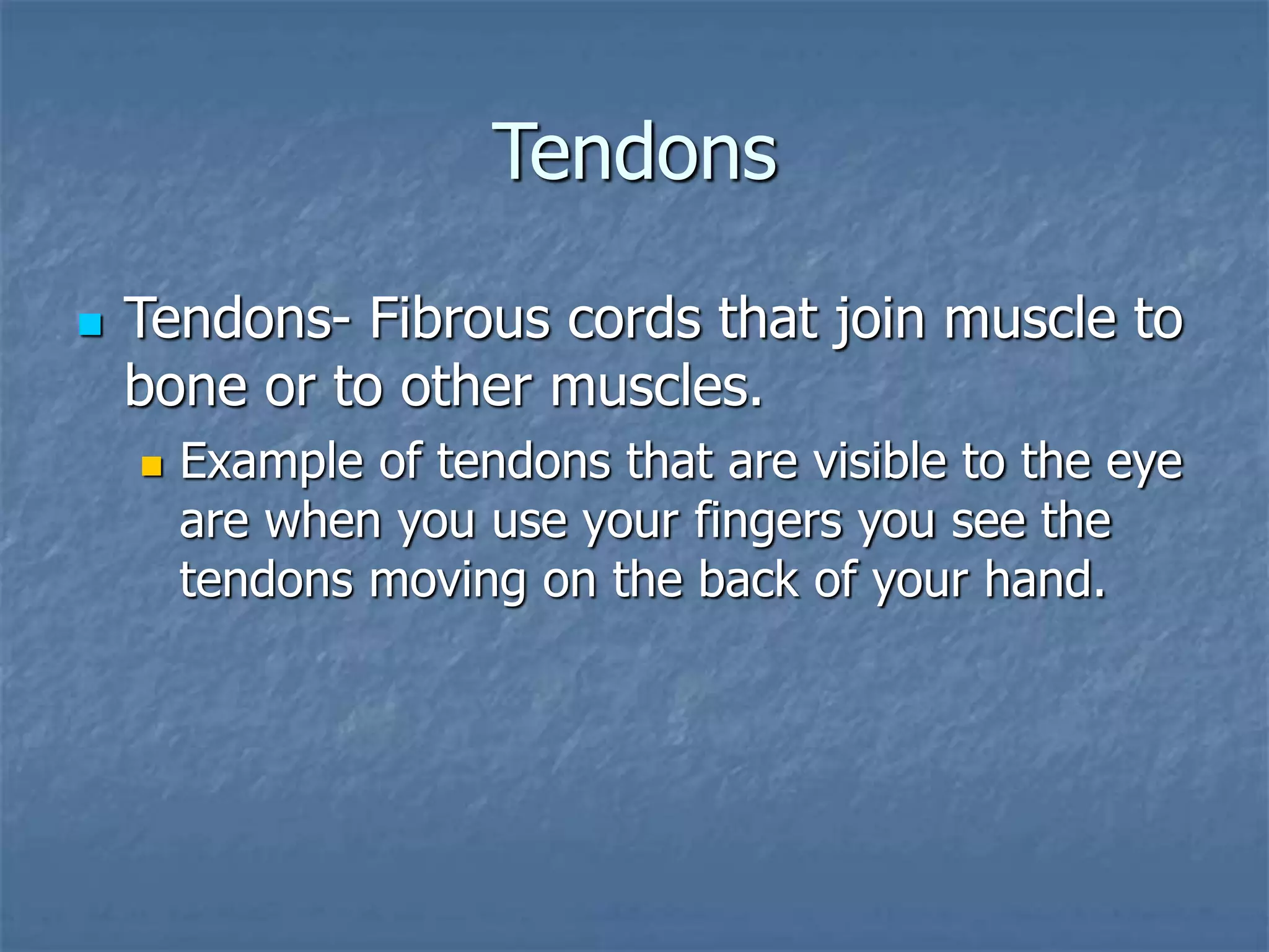 Tendons
 Tendons- Fibrous cords that join muscle to
bone or to other muscles.
 Example of tendons that are visible to the eye
are when you use your fingers you see the
tendons moving on the back of your hand.
 