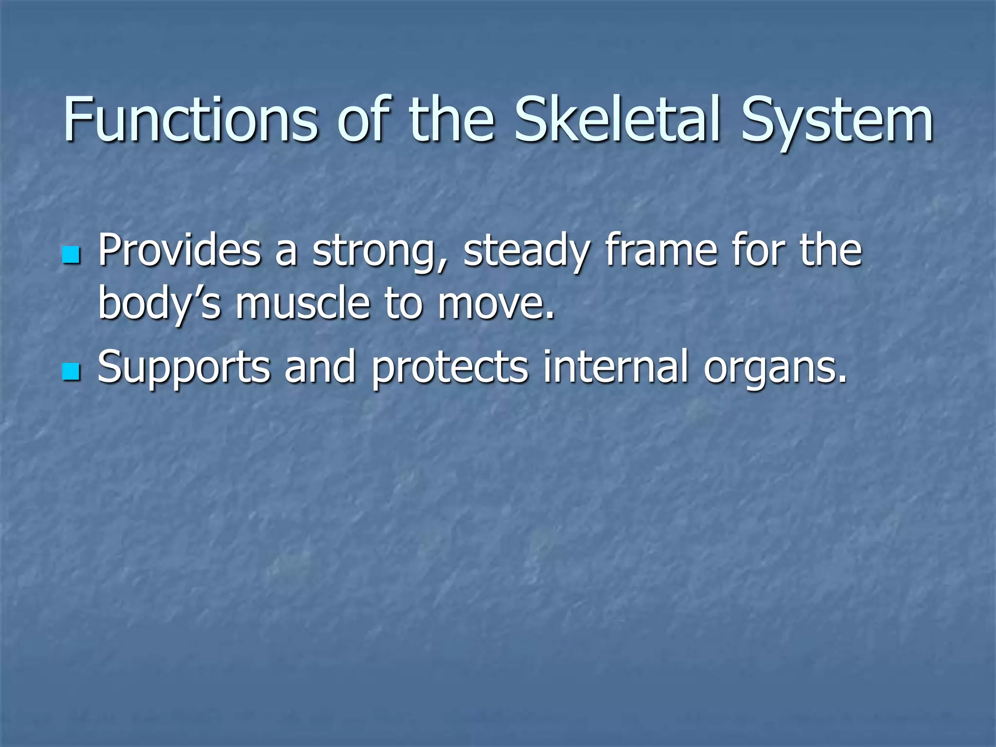 Functions of the Skeletal System
 Provides a strong, steady frame for the
body’s muscle to move.
 Supports and protects internal organs.
 