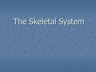 The Skeletal System
 