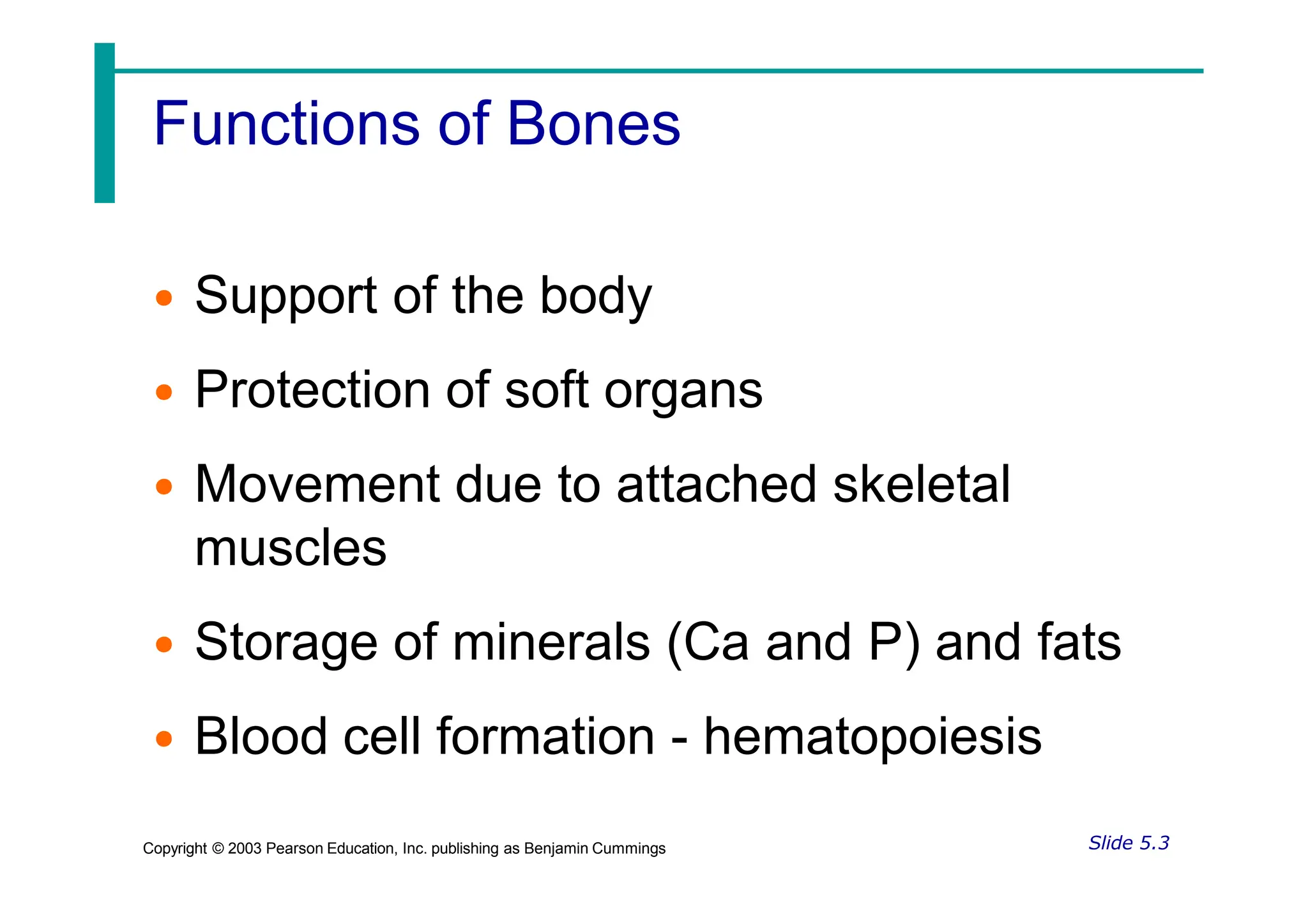 Skeletal System anatomy and physiology ppt | PPTX
