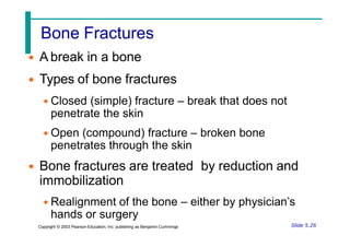 Bone Fractures
• A break in a bone
• Types of bone fractures
• Closed (simple) fracture – break that does not
penetrate the skin
• Open (compound) fracture – broken bone
penetrates through the skin
• Bone fractures are treated by reduction and
immobilization
• Realignment of the bone – either by physician’s
hands or surgery
Slide 5.26
Copyright © 2003 Pearson Education, Inc. publishing as Benjamin Cummings
 