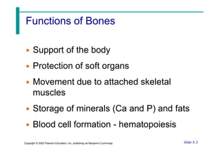 Functions of Bones
• Support of the body
• Protection of soft organs
• Movement due to attached skeletal
muscles
• Storage of minerals (Ca and P) and fats
• Blood cell formation - hematopoiesis
Slide 5.3
Copyright © 2003 Pearson Education, Inc. publishing as Benjamin Cummings
 