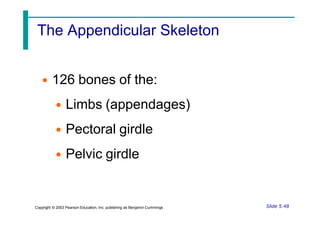 The Appendicular Skeleton
• 126 bones of the:
• Limbs (appendages)
• Pectoral girdle
• Pelvic girdle
Slide 5.48
Copyright © 2003 Pearson Education, Inc. publishing as Benjamin Cummings
 