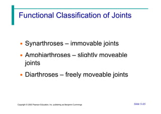 Functional Classification of Joints
• Synarthroses – immovable joints
• Amphiarthroses – slightly moveable
joints
• Diarthroses – freely moveable joints
Slide 5.65
Copyright © 2003 Pearson Education, Inc. publishing as Benjamin Cummings
 