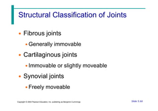 Structural Classification of Joints
• Fibrous joints
• Generally immovable
• Cartilaginous joints
• Immovable or slightly moveable
• Synovial joints
• Freely moveable
Slide 5.66
Copyright © 2003 Pearson Education, Inc. publishing as Benjamin Cummings
 