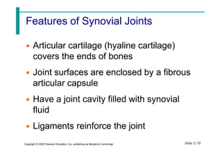 Features of Synovial Joints
• Articular cartilage (hyaline cartilage)
covers the ends of bones
• Joint surfaces are enclosed by a fibrous
articular capsule
• Have a joint cavity filled with synovial
fluid
• Ligaments reinforce the joint
Slide 5.70
Copyright © 2003 Pearson Education, Inc. publishing as Benjamin Cummings
 
