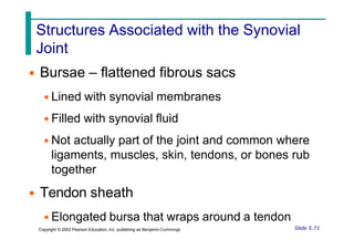 Structures Associated with the Synovial
Joint
• Bursae – flattened fibrous sacs
• Lined with synovial membranes
• Filled with synovial fluid
• Not actually part of the joint and common where
ligaments, muscles, skin, tendons, or bones rub
together
• Tendon sheath
• Elongated bursa that wraps around a tendon
Slide 5.71
Copyright © 2003 Pearson Education, Inc. publishing as Benjamin Cummings
 