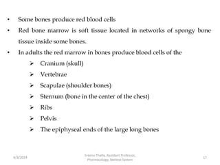 • Some bones produce red blood cells
• Red bone marrow is soft tissue located in networks of spongy bone
tissue inside some bones.
• In adults the red marrow in bones produce blood cells of the
 Cranium (skull)
 Vertebrae
 Scapulae (shoulder bones)
 Sternum (bone in the center of the chest)
 Ribs
 Pelvis
 The epiphyseal ends of the large long bones
4/3/2024 17
Sreenu Thalla, Assistant Professor,
Pharmacology, Skeletal System
 