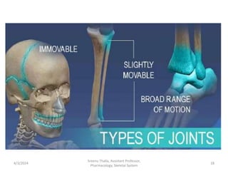 4/3/2024 18
Sreenu Thalla, Assistant Professor,
Pharmacology, Skeletal System
 