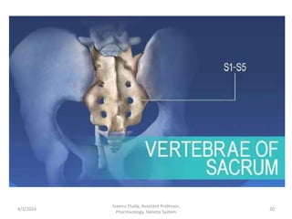 4/3/2024 20
Sreenu Thalla, Assistant Professor,
Pharmacology, Skeletal System
 