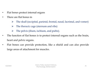 • Flat bones protect internal organs
• There are flat bones in
 The skull (occipital, parietal, frontal, nasal, lacrimal, and vomer)
 The thoracic cage (sternum and ribs)
 The pelvis (ilium, ischium, and pubis).
• The function of flat bones is to protect internal organs such as the brain,
heart and pelvic organs.
• Flat bones can provide protection, like a shield and can also provide
large areas of attachment for muscles.
4/3/2024 25
Sreenu Thalla, Assistant Professor,
Pharmacology, Skeletal System
 