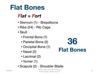 4/3/2024 26
Sreenu Thalla, Assistant Professor,
Pharmacology, Skeletal System
 